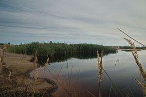 on the way / Unterwegs in der Lausitzer Bergbaufolgelandschaft / Die Gewässer sind auch über 30 Jahre nach der letzten Braunkohleförderung mehr oder minder stark mit Schwefelsalze (Sulfate) und Eisenhydroxid belastet (AR 08/2021)