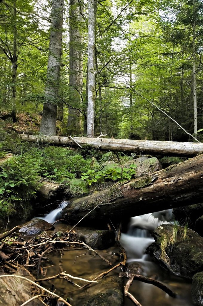 on the way / Wasserfall bei Spiegelau / Unterwegs im Nationalpark Bayerischer Wald (AR 08/2021)