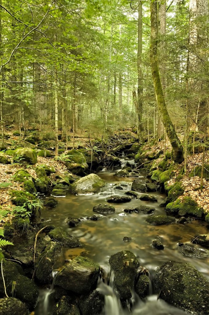 on the way / Wasserfall bei Spiegelau / Unterwegs im Nationalpark Bayerischer Wald (AR 08/2021)