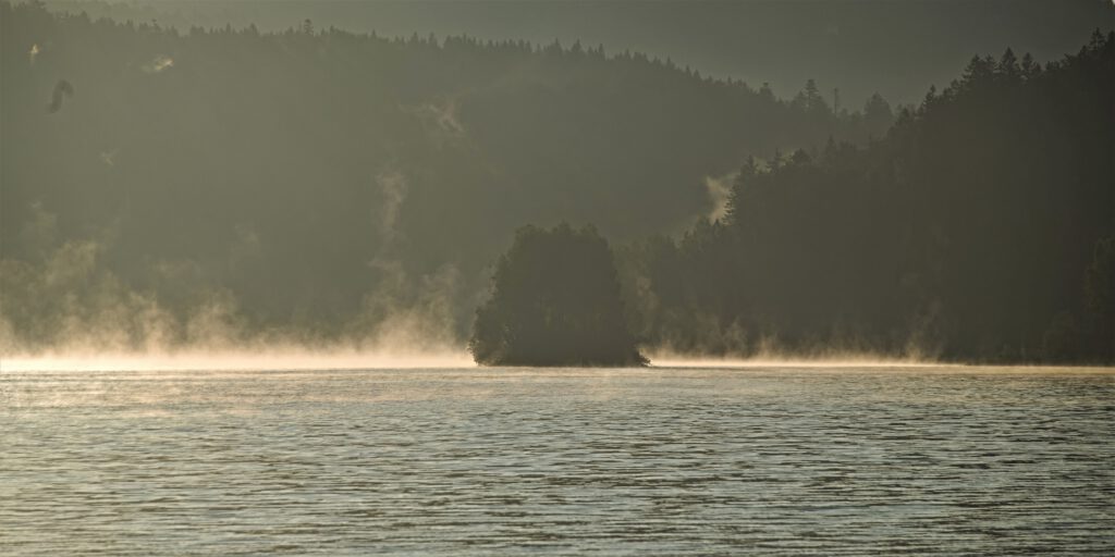 on the way / Wasserspeicher der Trinkwassertalsperre Frauenau (AR 08/2021)