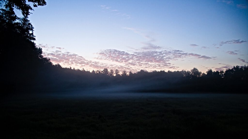 on the way / Früh am Morgen im Naturschutzgebiet Dubringer Moor / Landkreis Bautzen (Sachsen) (AR 09/2021)