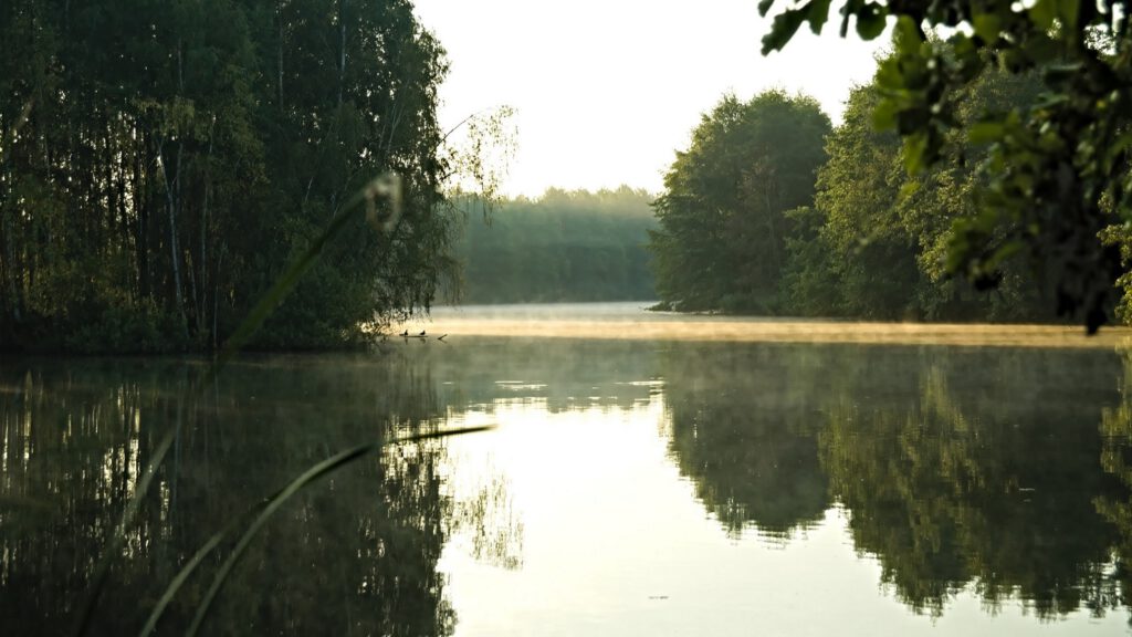 on the way / Ausblick auf die Teichanlage des Naturschutzgebiets Dubringer Moor / Landkreis Bautzen (Sachsen) (AR 09/2021)