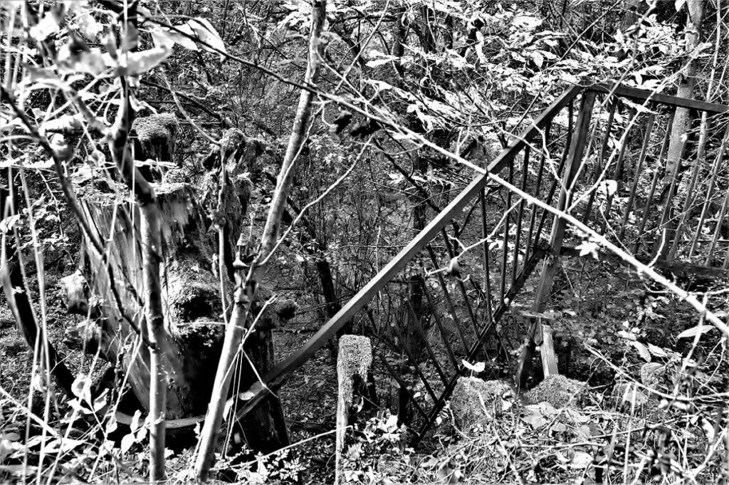 lost place / Stahlgeländer an einer militärhistorischen Versuchsbrücke, erbaut in den 1930iger Jahren / bei Roßlau (Elbe) (AR 09/2021)