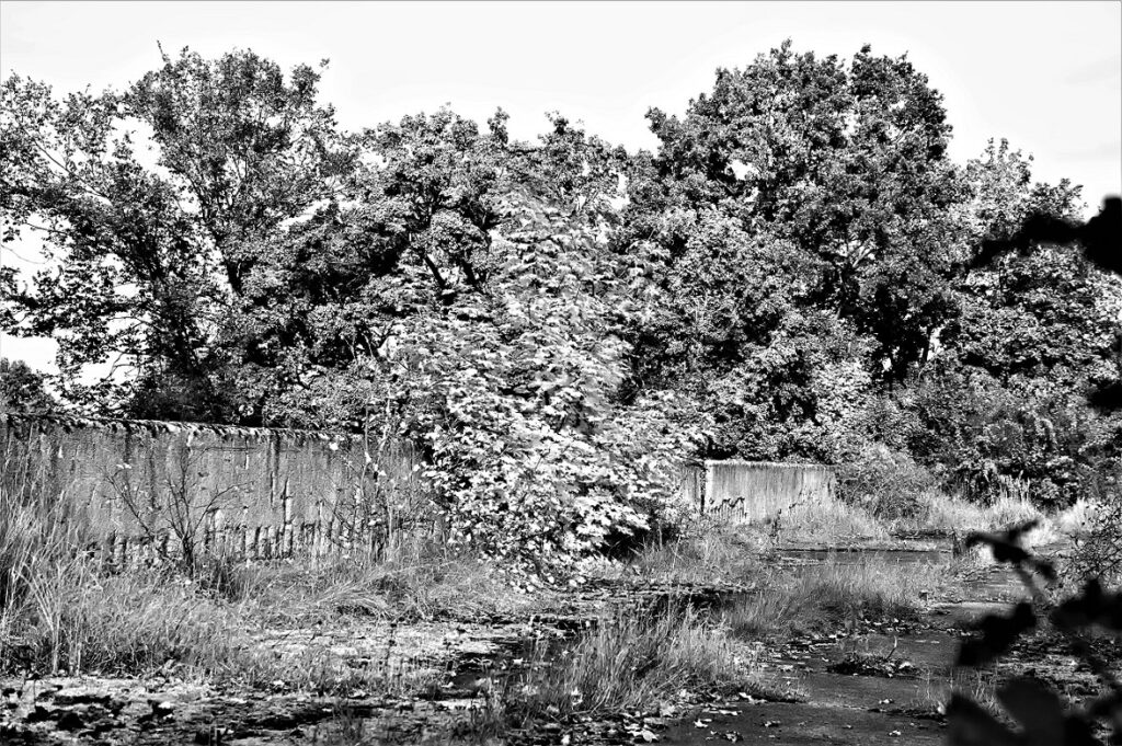 lost place / Stahlbetonkonstruktion einer militärhistorischen Versuchsbrücke, erbaut in den 1930iger Jahren / bei Roßlau (Elbe) (AR 09/2021)