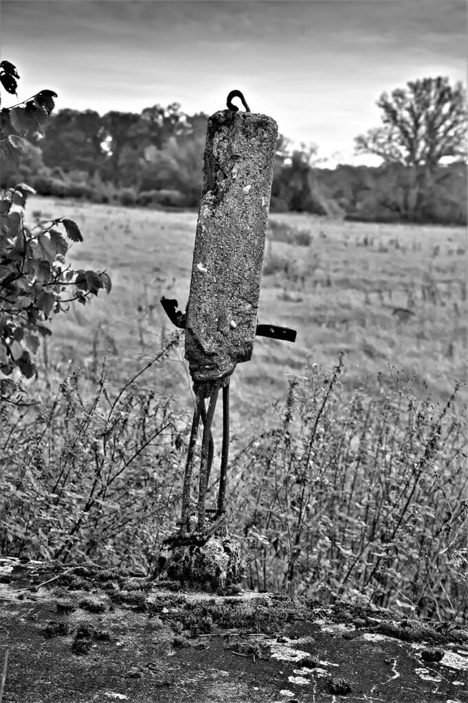 lost place / Wegbegrenzung an einer militärhistorischen Versuchsstraße, erbaut in den 1930iger Jahren / bei Roßlau (Elbe) (AR 09/2021)