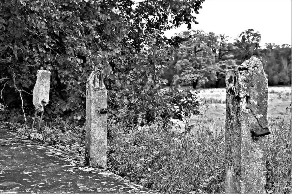 lost place / Wegbegrenzung an einer militärhistorischen Versuchsstraße, erbaut in den 1930iger Jahren / bei Roßlau (Elbe) (AR 09/2021)