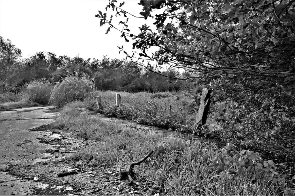 lost place / Wegbegrenzung an einer militärhistorischen Versuchsstraße, erbaut in den 1930iger Jahren / bei Roßlau (Elbe) (AR 09/2021)