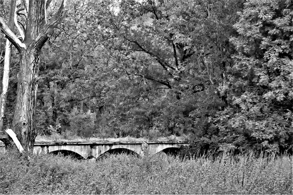 lost place / Stahlbetonkonstruktion einer militärhistorischen Versuchsbrücke, erbaut in den 1930iger Jahren / bei Roßlau (Elbe) (AR 09/2021)