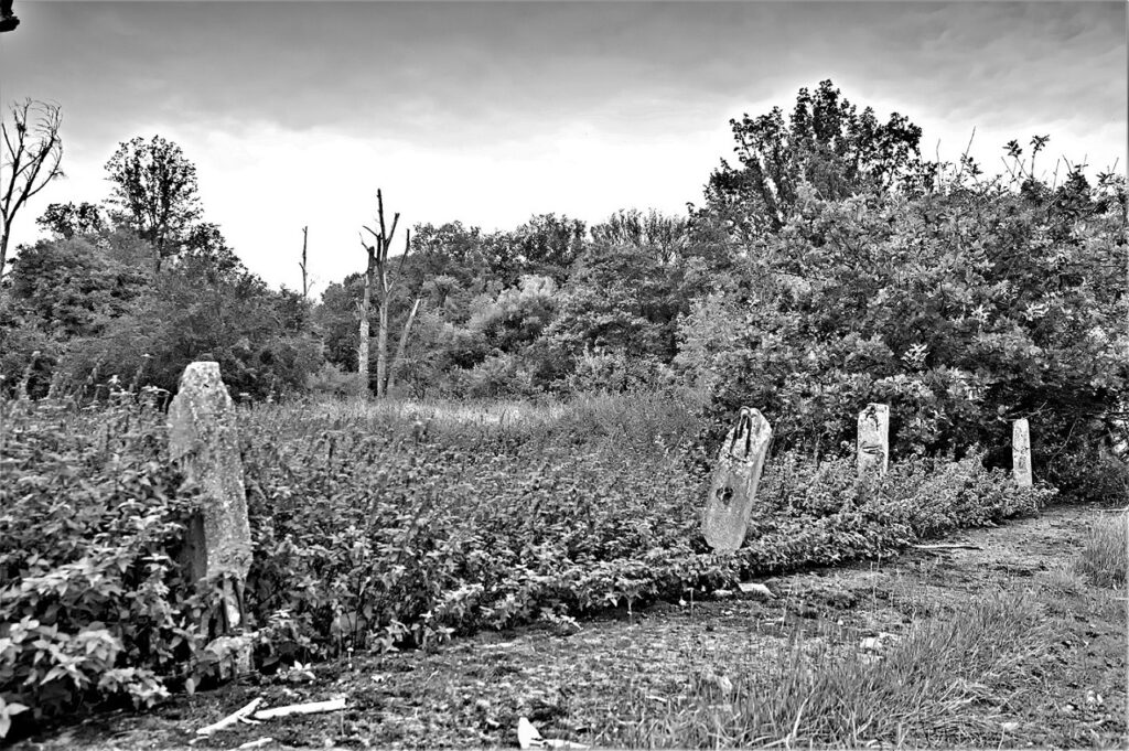 lost place / Wegbegrenzung an einer militärhistorischen Versuchsstraße, erbaut in den 1930iger Jahren / bei Roßlau (Elbe) (AR 09/2021)