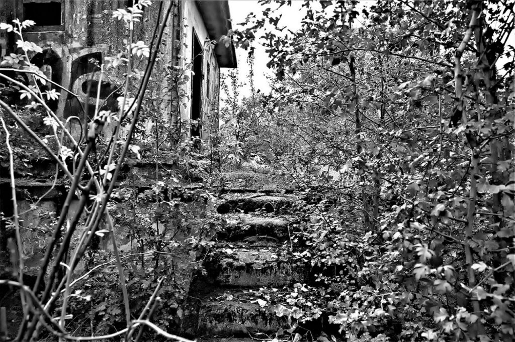 lost place / Kontrollstation an einer militärhistorischen Versuchsbrücke, erbaut in den 1930iger Jahren / bei Roßlau (Elbe) (AR 09/2021)