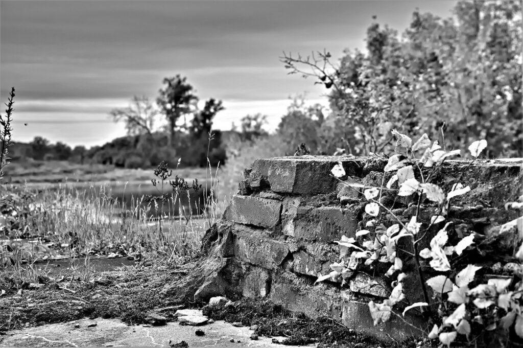 lost place / Mauerwerk an einer militärhistorischen Versuchsbrücke, erbaut in den 1930iger Jahren / bei Roßlau (Elbe) (AR 09/2021)