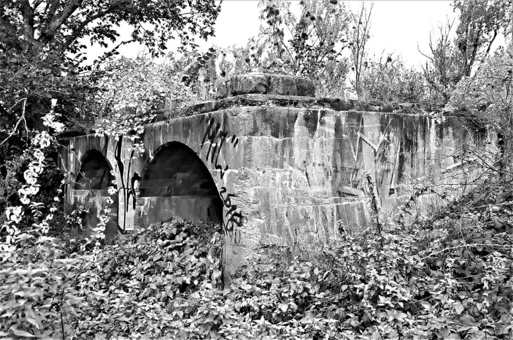 lost place / Stahlbetonkonstruktion einer militärhistorischen Versuchsbrücke, erbaut in den 1930iger Jahren / bei Roßlau (Elbe) (AR 09/2021)