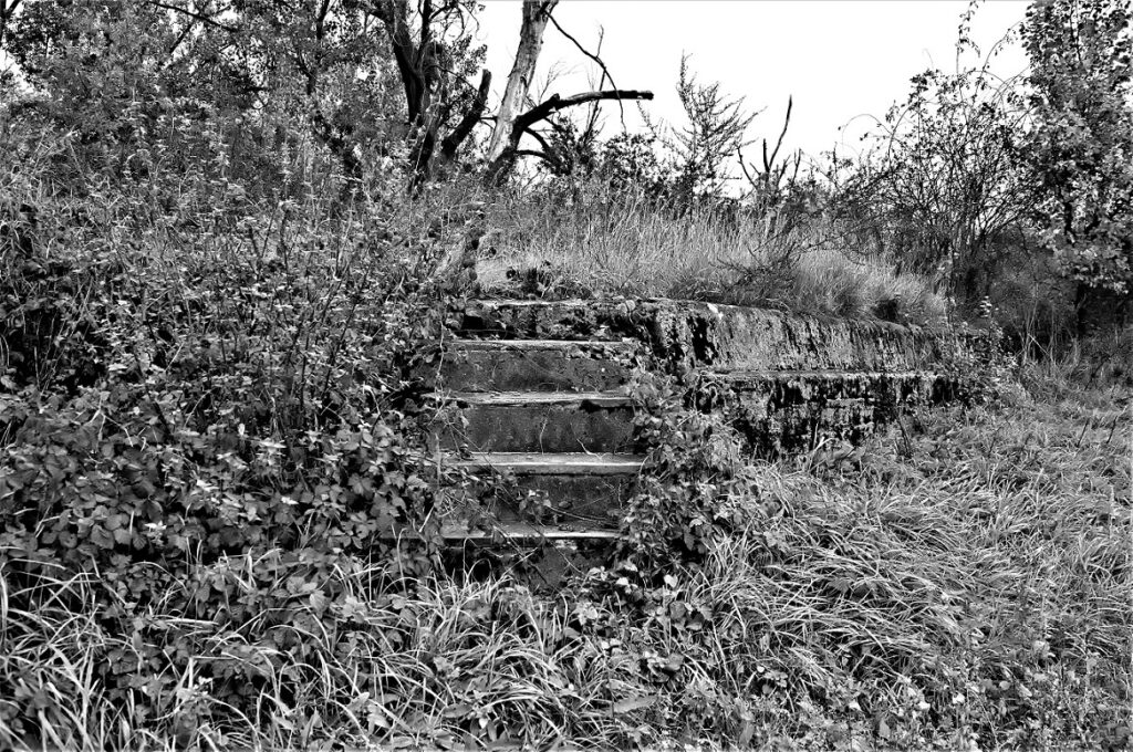 lost place / Stahlbetonkonstruktion einer militärhistorischen Versuchsbrücke, erbaut in den 1930iger Jahren / bei Roßlau (Elbe) (AR 09/2021)