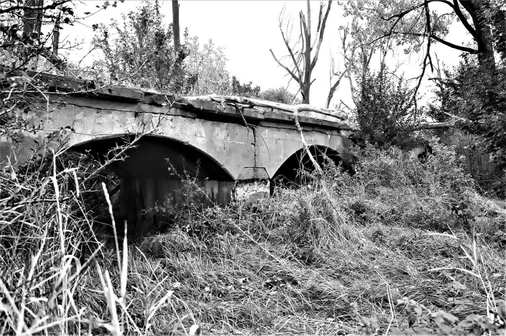 lost place / Stahlbetonkonstruktion einer militärhistorischen Versuchsbrücke, erbaut in den 1930iger Jahren / bei Roßlau (Elbe) (AR 09/2021)