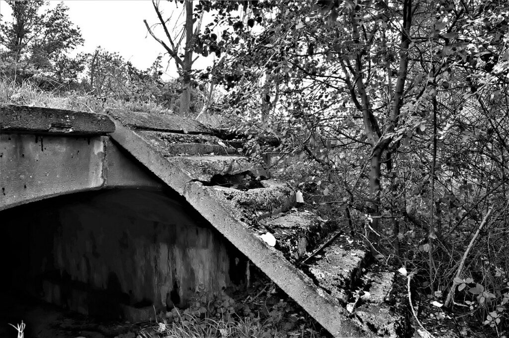 lost place / Stahlbetonkonstruktion einer militärhistorischen Versuchsbrücke, erbaut in den 1930iger Jahren / bei Roßlau (Elbe) (AR 09/2021)