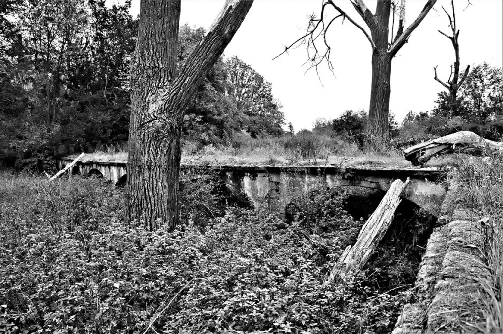 lost place / Stahlbetonkonstruktion einer militärhistorischen Versuchsbrücke, erbaut in den 1930iger Jahren / bei Roßlau (Elbe) (AR 09/2021)