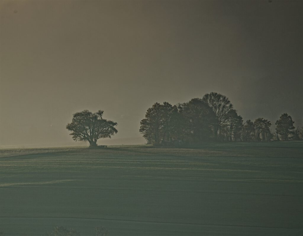 on the way / Detailaufnahme eines nebligen Morgens während des Sonnenaufgangs vom Habelberg bei Tann (Biosphärenreservat Rhön) aus gesehen (AR 10/2021)