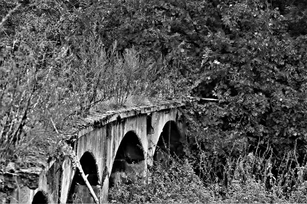 lost place / Stahlbetonkonstruktion einer militärhistorischen Versuchsbrücke, erbaut in den 1930iger Jahren / bei Roßlau (Elbe) (AR 09/2021)