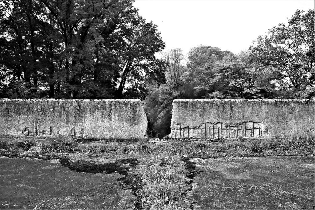 lost place / Militärhistorische Versuchsbrücke, erbaut in den 1930iger Jahren / bei Roßlau (Elbe) (AR 09/2021)