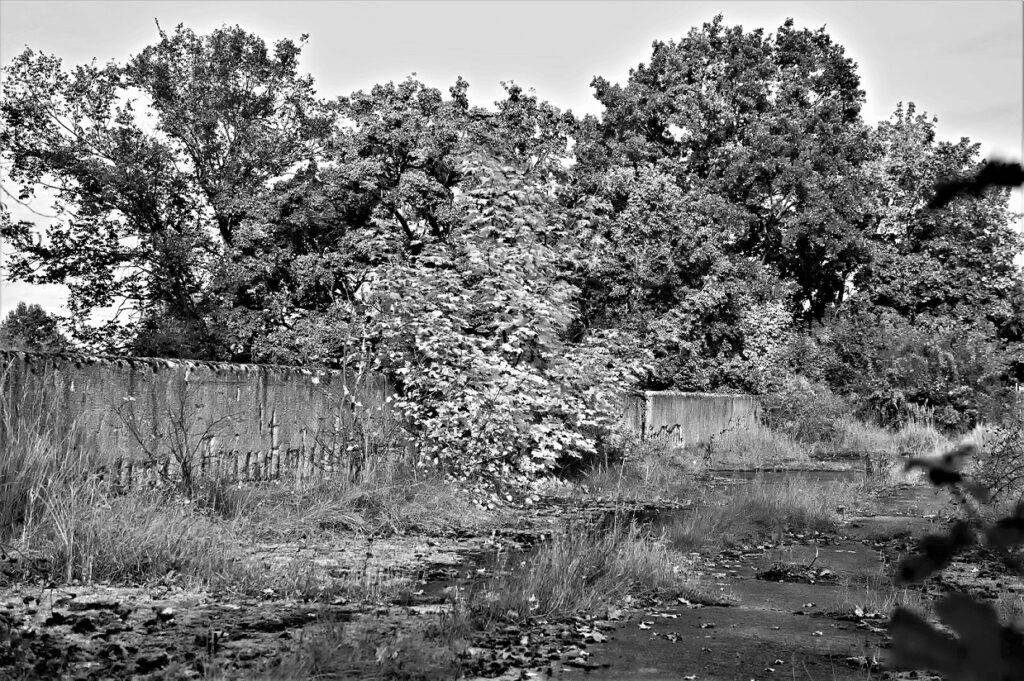 lost place / Militärhistorische Versuchsbrücke, erbaut in den 1930iger Jahren / bei Roßlau (Elbe) (AR 09/2021)