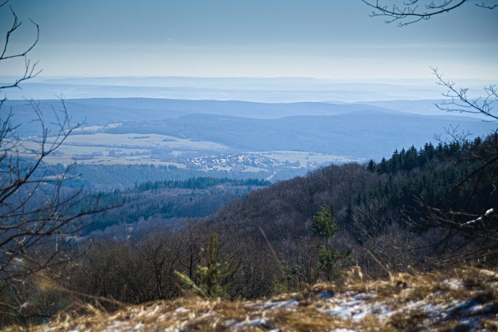 on the way / Feuerberg (Kissinger Hütte) / Bayerische Rhön (Landkreis Rhön-Grabfeld) (AR 03/2021)