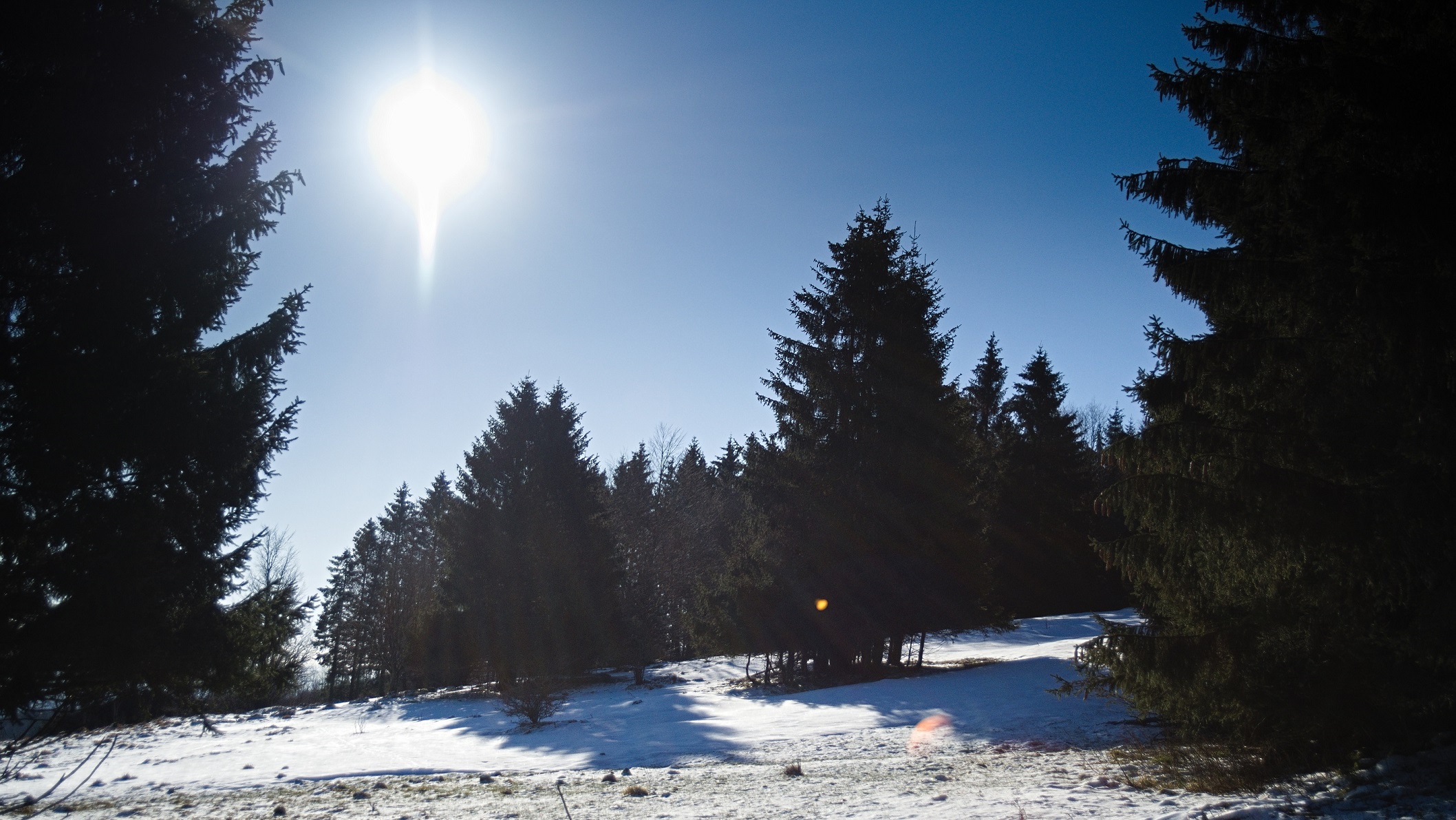 on the way / Feuerberg (Kissinger Hütte) / Bayerische Rhön (Landkreis Rhön-Grabfeld) (AR 03/2021)