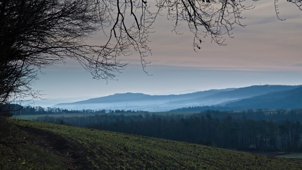 on the way / am Alten Staffelberg bei Bad Staffelstein in Oberfranken (AR 04/2022)