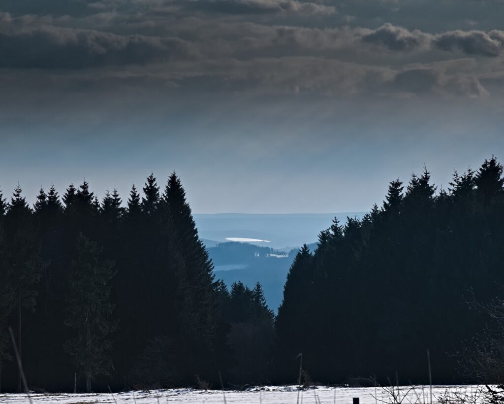 on the way / Feuerberg (Kissinger Hütte), Blickrichtung Westen / Bayerische Rhön (Landkreis Rhön-Grabfeld) (AR 04/2022)