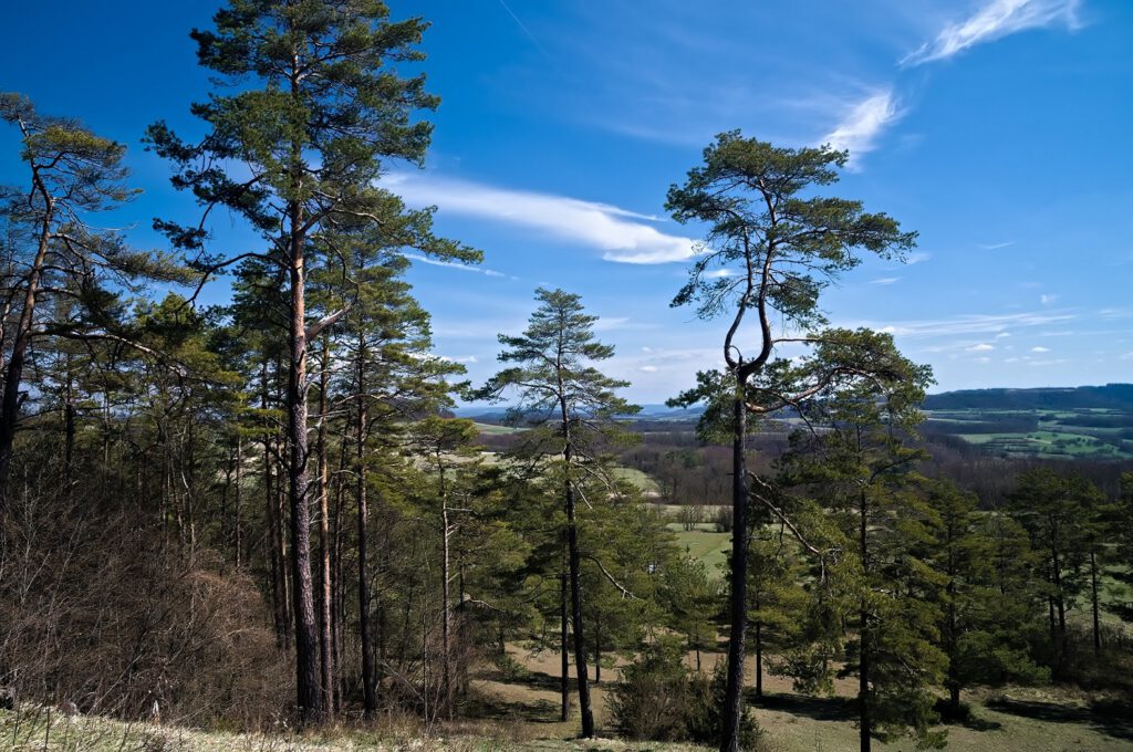 on the way / am Spitzberg bei Bad Staffelstein in Oberfranken (AR 04/2022)