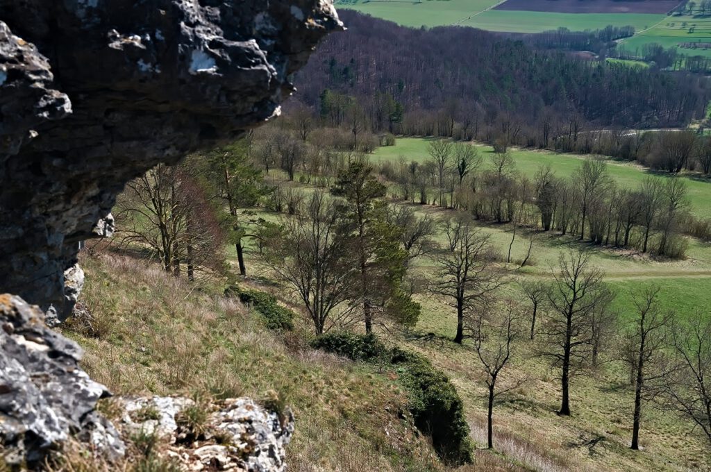 on the way / unterwegs auf dem Staffelberg / Bad Staffelstein in Oberfranken (AR 04/2022)