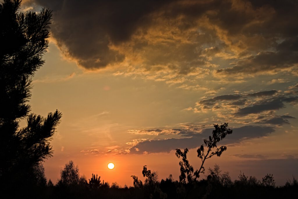 on the way / Früh morgens in der Lausitzer Tagebaufolgelandschaft (Bergbaufolgelandschaft) (AR 05/2022)