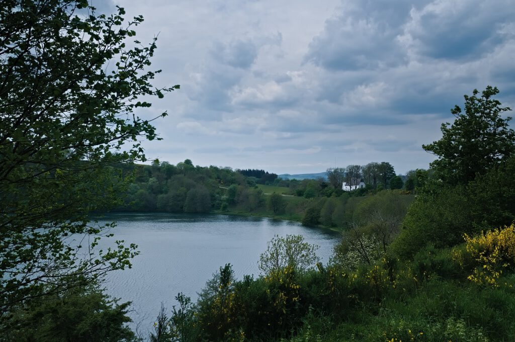 Maare der Vulkaneifel / Weinfelder Maar (Totenmaar / Dauner Maare) (AR 05/2022)