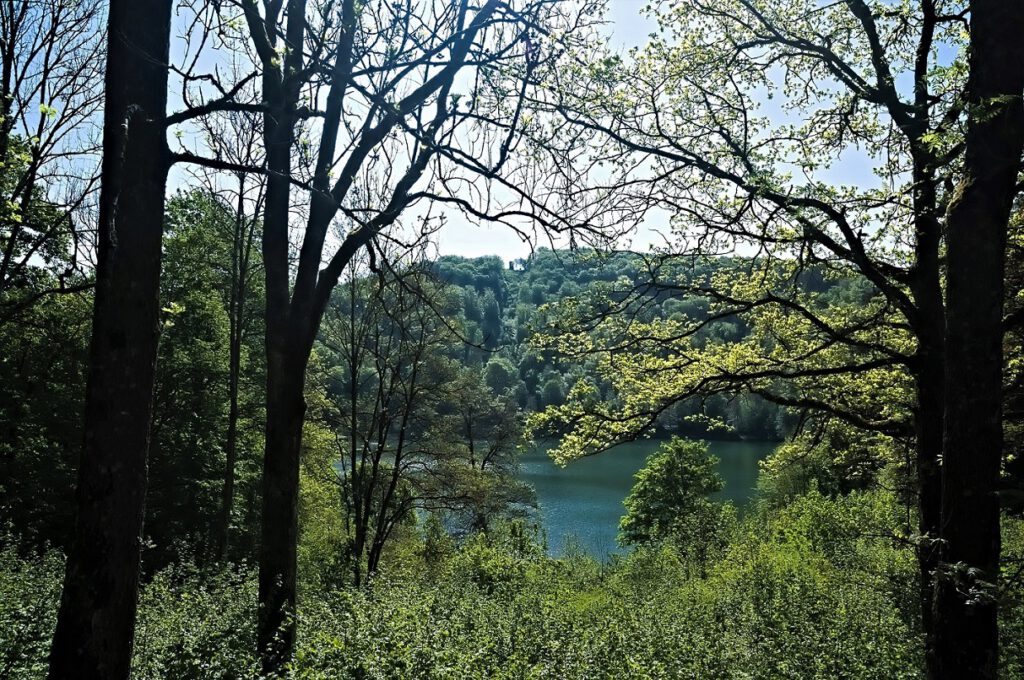 Maare der Vulkaneifel / Gemündener Maar (Dauner Maare) (AR 05/2022)