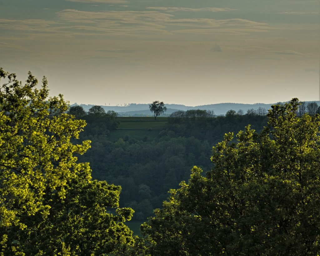 Unterwegs in der Vulkaneifel / am Schalkenmehrener Maar (Dauner Maare) (AR 05/2022)