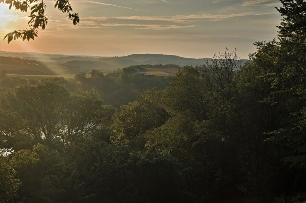 Unterwegs auf dem Mäuseberg am Weinfelder Maar und Gemündener Maar (Vulkaneifel) (AR 05/2022)