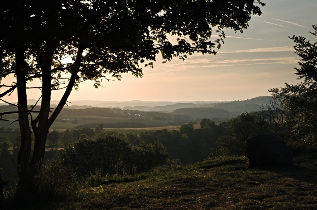 Unterwegs auf dem Mäuseberg am Weinfelder Maar und Gemündener Maar (Vulkaneifel) (AR 05/2022)