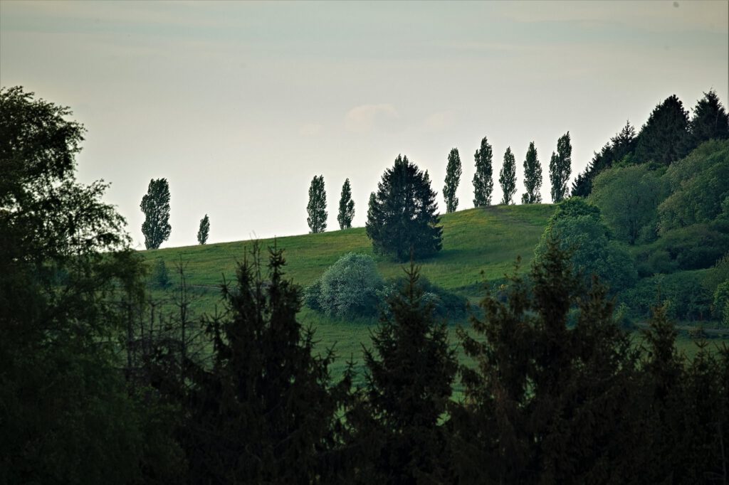 Unterwegs in der Vulkaneifel / am Schalkenmehrener Maar (Dauner Maare) (AR 05/2022)