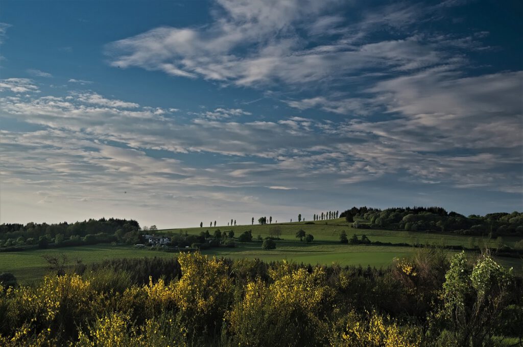 Unterwegs in der Vulkaneifel / am Schalkenmehrener Maar (Dauner Maare) (AR 05/2022)