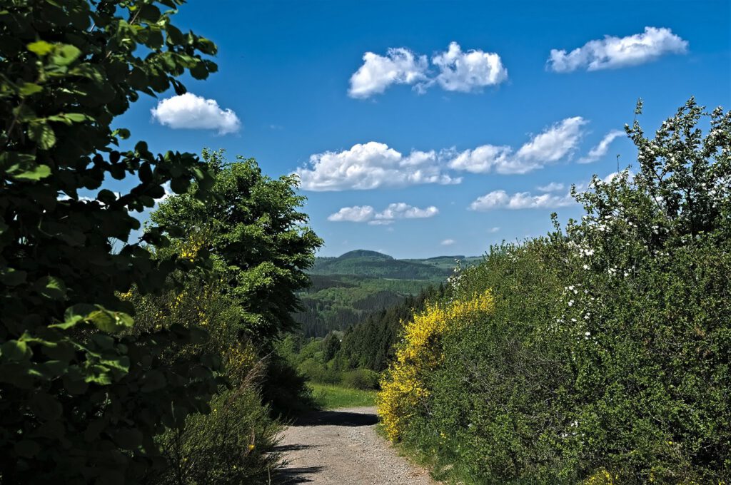 Maare der Vulkaneifel / unterwegs am Gemündener Maar (Dauner Maare) (AR 05/2022)