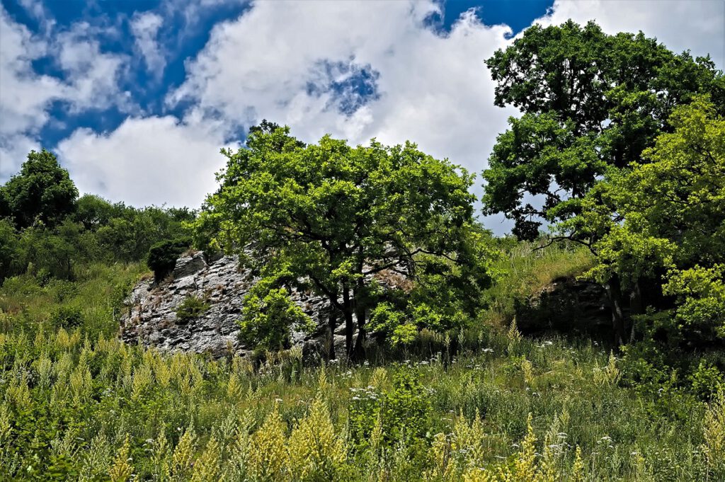 on the way / unterwegs auf dem Staffelberg in Bad Staffelstein / Oberfranken (AR 06/2022)