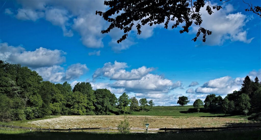 Maare der Vulkaneifel / Dürres Maar (Gillenfeld) (AR 05/2022)