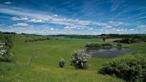 Maare der Vulkaneifel / Trautzberger Maar (Strohn) (AR 05/2022)