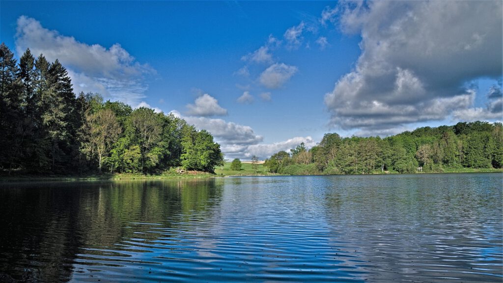 Maare der Vulkaneifel / Holzmaar (Gillenfeld) (AR 05/2022)