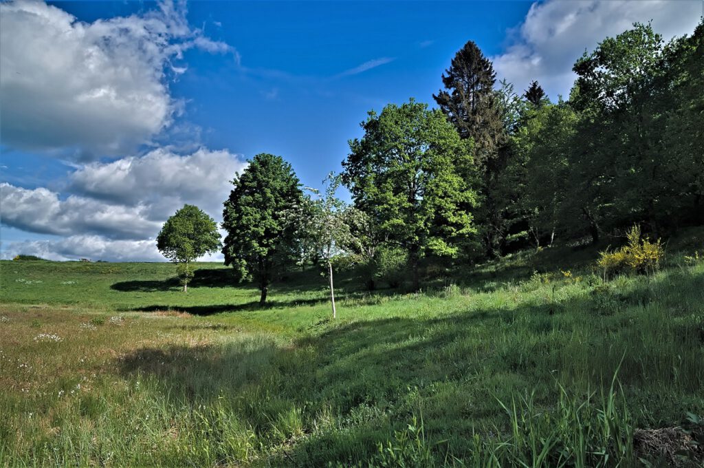 Maare der Vulkaneifel / Dürres Maar (Gillenfeld) (AR 05/2022)