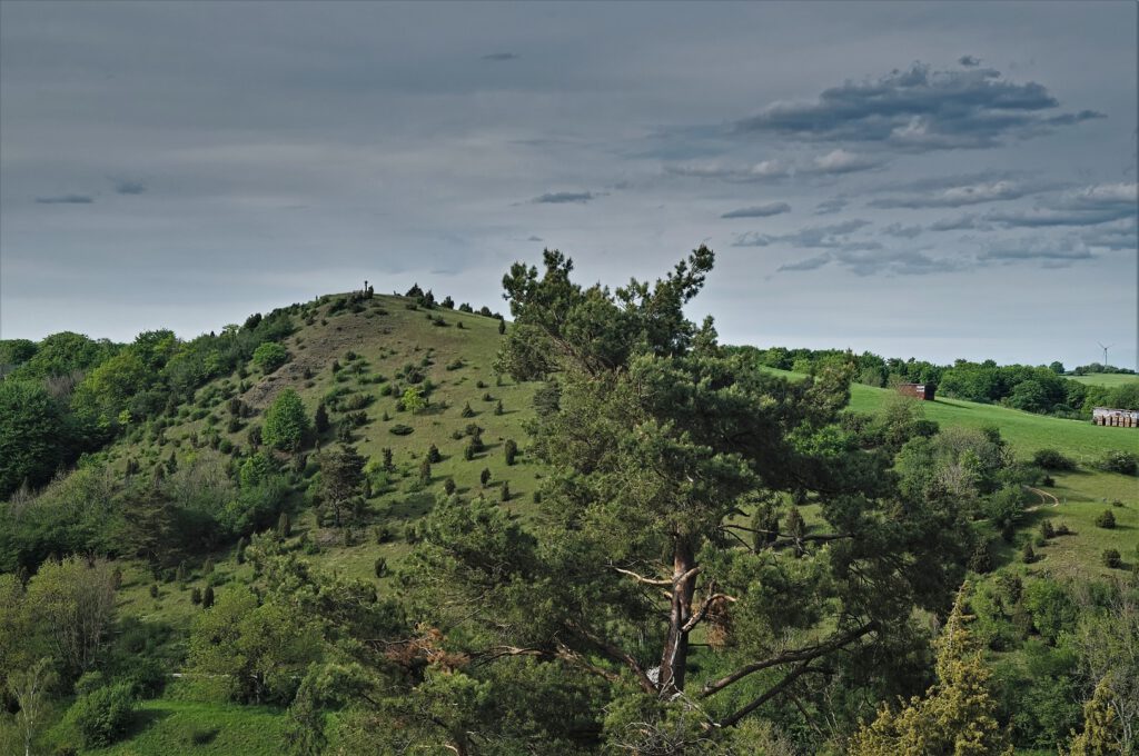 Der Kalvarienberg (Alendorf/Nordeifel) (AR 05/2022)