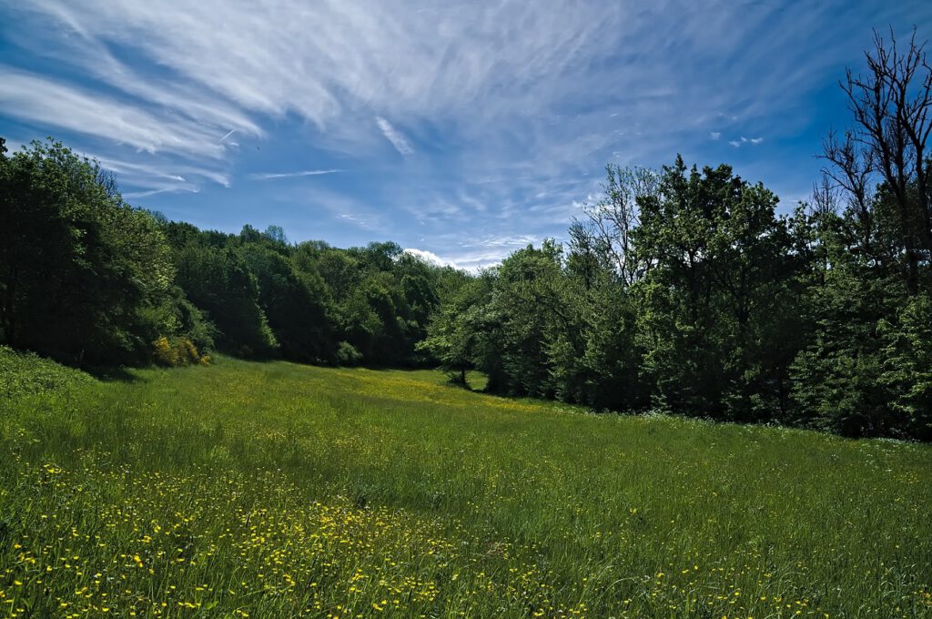 Maare der Vulkaneifel / Immerather Maar (Immerath) (AR 05/2022)