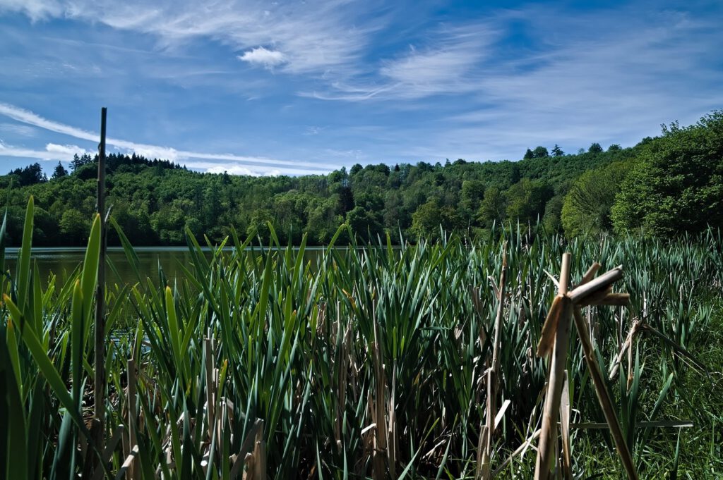 Maare der Vulkaneifel / Immerather Maar (Immerath) (AR 05/2022)