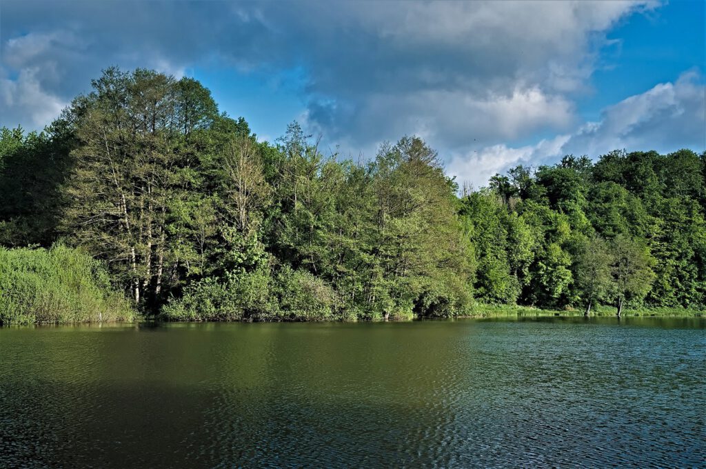 Maare der Vulkaneifel / Holzmaar (Gillenfeld) (AR 05/2022)