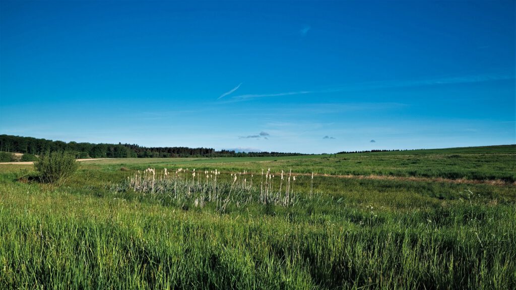 Maare der Vulkaneifel / Hetsche Maar (Gillenfeld) (AR 05/2022)