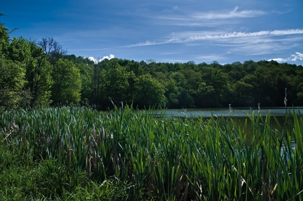 Maare der Vulkaneifel / Immerather Maar (Immerath) (AR 05/2022)